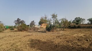 Land for sale in Idanha-a-Nova, Portugal — €25,000