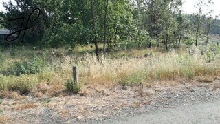 Land for sale in Albergaria-a-Velha, Portugal — €42,000