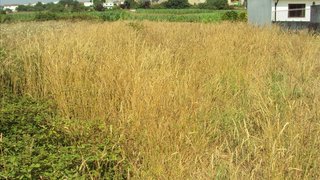 Land for sale in Ovar, Portugal — €45,000