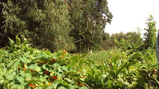 Land for sale in Espinho, Portugal — €62,500