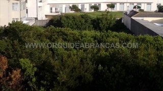 Land for sale in Ovar, Portugal — €125,000
