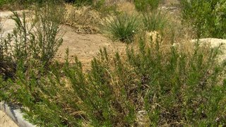 Land for sale in Ovar, Portugal — €105,000