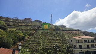 Terreno em Câmara de Lobos