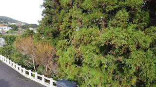 Land for sale in Lajes do Pico, Portugal — €86,000