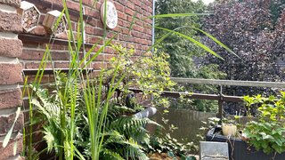 casafari-bild