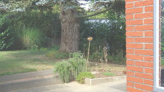 casafari-bild