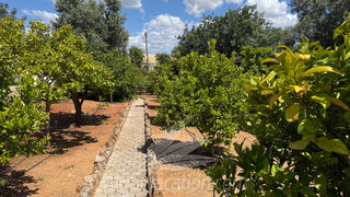 Land for sale in Silves, Portugal — €175,000