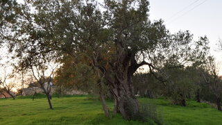 Land for sale in Loulé, Portugal — €315,000