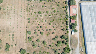 Terreno em Tavira · 10 460 m² · 100 000 €