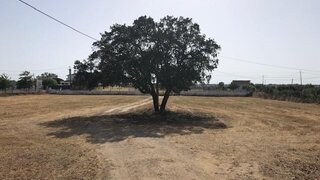 Land for sale in Palmela, Portugal — €420,000