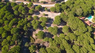 Land for sale in Benavente, Portugal — €386,000