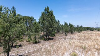 Land for sale in Grândola, Portugal — €1,450,000