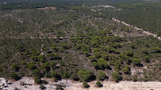 Land for sale in Grândola, Portugal — €1,690,000