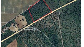 Land for sale in Montemor-o-Novo, Portugal — €220,000