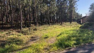 Land for sale in Pombal, Portugal — €125,000