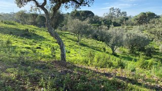 Land for sale in Grândola, Portugal — €1,500,000