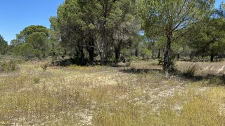Land for sale in Grândola, Portugal — €2,700,000