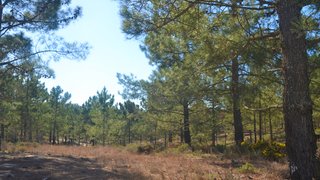 Land for sale in Grândola, Portugal — €920,000