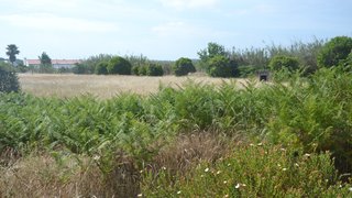 Land for sale in Alcácer do Sal, Portugal — €2,550,000