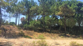 Land for sale in Grândola, Portugal — €995,000