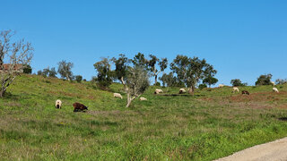 Land for sale in Grândola, Portugal — €2,350,000