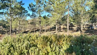 Land for sale in Grândola, Portugal — €1,100,000