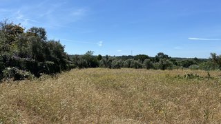 Land for sale in Grândola, Portugal — €1,650,000