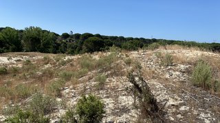 Land for sale in Grândola, Portugal — €750,000