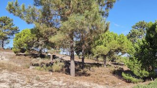 Terreno para venda em Grândola, Portugal — 850 000 €