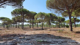 Land for sale in Grândola, Portugal — €3,000,000