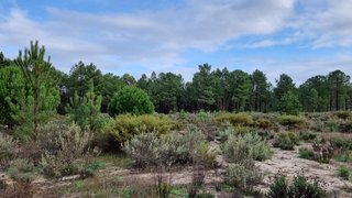 Land for sale in Grândola, Portugal — €2,900,000