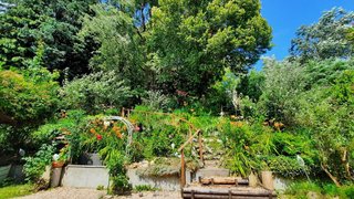 casafari-bild