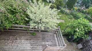 casafari-bild