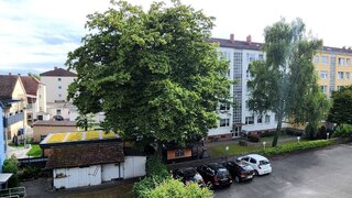 casafari-bild