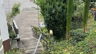 casafari-bild
