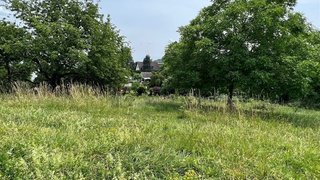 Alttag