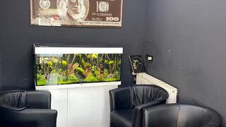 casafari-img
