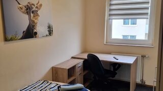 casafari-bild