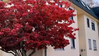 Alttag
