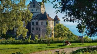 casafari-bild