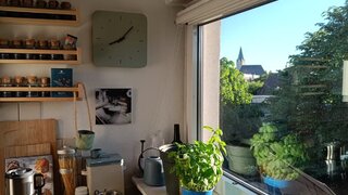 casafari-bild