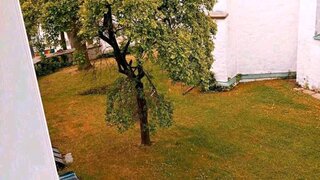 casafari-bild