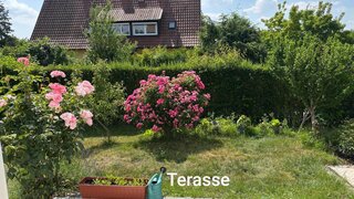 Alttag