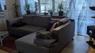 casafari-bild