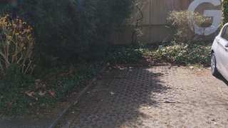 Alttag