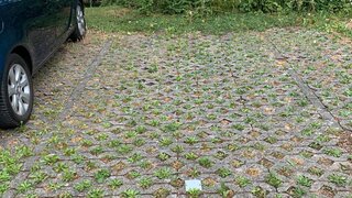 Alttag