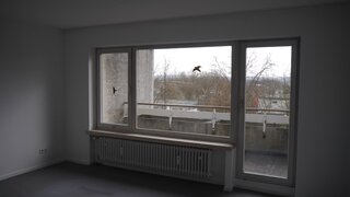 Alttag