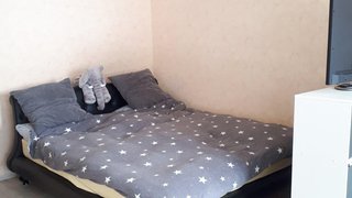 casafari-bild