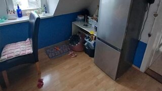 casafari-bild