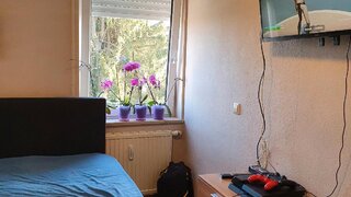 casafari-bild